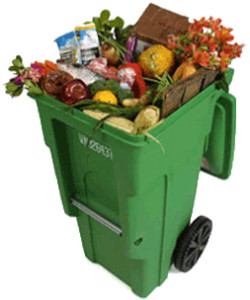 commercial_food_scrap1